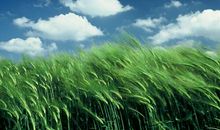 熬到9月，吉星照耀，恭喜3属相，钞票翻番涨，喜添财横财来