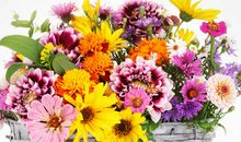 2020年家中喜事连绵，横财不断来袭，运势上上签的属相，喜事满满