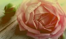 原创 8月25号开始霉运散尽好运来，四生肖横财当头，钞票大涨!