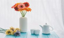 会带来野桃花的风水