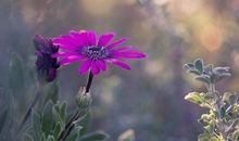 11月上旬，暖风吹开心扉，转身遇良人的星座，告别单身