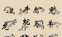 十二生肖哪几只是阴肖 十二生肖动物脚趾（爪）为偶的是阴肖