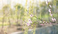 不甘平凡，内心渴望成功，生活中处处都有野心展露的星座