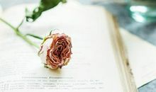 想放弃一段感情之前，12星座请看看这文章！