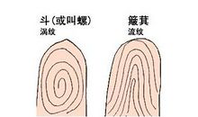 手指螺纹怎么看，通过手指看相看命运