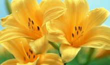 原创 夫妻俩有一人是此3生肖，子女聪明伶俐，长大后孝顺有出息