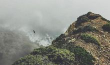 失恋后会活得更精彩的生肖女