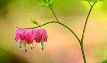 未来半年，财星入命，运势一路飙升，财富大降的3大生肖