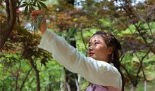 高雅的女生英文名字