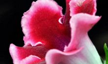 原创 惹不起的四生肖，8月26号开始富贵不愁，赚的盆满钵满!