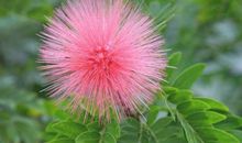 原创 11月熬出头，财富上升，钱包财多，生活幸福，爱情美满的星座