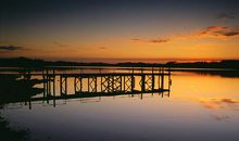 未来33天，运势蹭蹭涨，恭喜3属相，财比山高，天降钞票雨