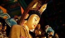 未来10天3生肖即将大量财运！横财发不停！