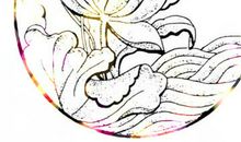 10月29号12星座注意事项，升职加薪不是梦，制定计划