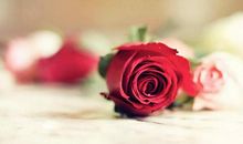 这三大生肖女生来就命苦，婚后生活更操心，没有享福命