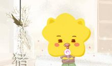 1983年2019运势及运程是怎么样的