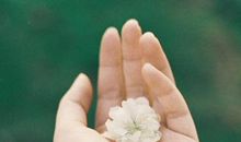 容易陷入苦恋的血型