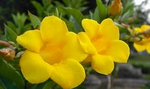 10月底得贵人加持，事业一飞冲天，晋升有望的属相，很快变有钱