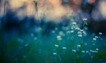 22号到10月底，桃花运旺，邂逅真爱，财神赐财送祝福的3大生肖