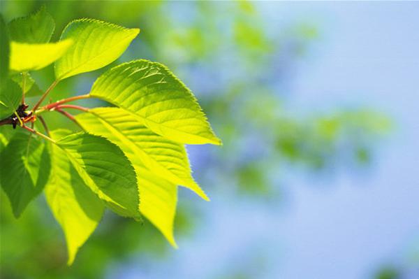 近期运势一飞冲天，贵人鼎力相助，财神庇佑，存款高涨的3大生肖 2