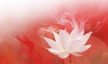 8月底霉运远离，财运一路飙，有望功成名就的三生肖