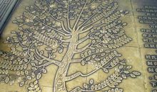 上古八大姓怎么读 解密历史姓氏奥秘