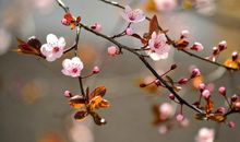 财运节节高！未来11月份，3个生肖，财运临门收获财富