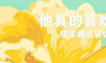 塔罗案例分析 | 他真的喜欢我吗？