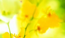 十二生肖中，3生肖下周开始财喜双至，大运躲不掉，金银赚满仓！