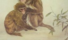 29日财运高涨，正财顺，偏财旺，添丁添喜行大运3生肖