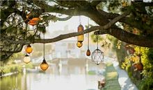 12星座2019年11月桃花运势指南！