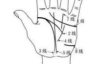 手纹算命图解，好的手纹有哪些特点