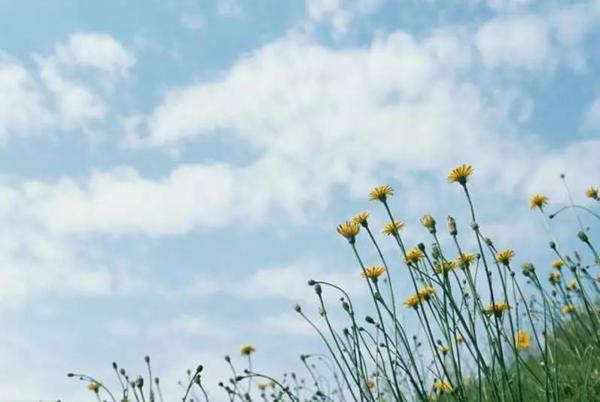 “靠山山倒，靠水水流”，中秋节不得了，先中奖、后发财，桃花好运天天有