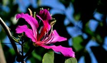 11月8号起运势呈上升状态，佛祖庇佑，财运逆袭的四属相