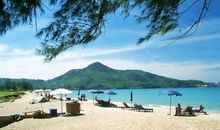 感情中，踏实靠谱的3个生肖，没有花花肠子