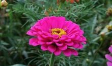 最不会心疼老婆的三生肖男，跟老婆都会斤斤计较，谁嫁谁辛苦