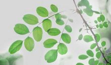 29号开始，3生肖“要注意了”，9月天降大喜，锦上添花，必发大财