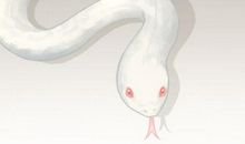 女人梦见蛇扑向自己是什么意思