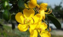 19年下半年，贵人指点，财神撑腰，想不富都难的几大生肖