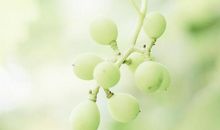 四生肖财运大发，11月1号开始赚八方之财，升官发财运纷至沓来