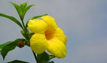 未来两年吸引贵人，财运自然来，财神爷就在贵人当中的四属相