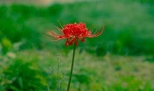 好学认真的4属相，未来3个月持续发力，得到更多财富，生活好转