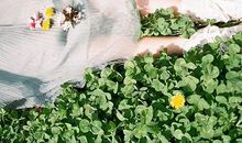 2019年12星座给自己的任务是什么？