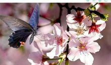 11月中旬喜事盈门，喜抱金砖的生肖，注定发家致富成有钱人