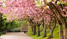 食神与伤官在八字算命中对男命以及女命的不同影响