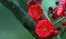 2019年财运一步登天，升职加百万年薪，走向富贵生活的3生肖