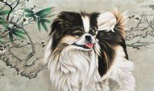 玄清风水命理：2020年苦命变富命，财神登门，有财缘随身的3大生肖