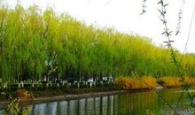 2019年穷日子走，富日子来，运势越来越旺，大赚钞票的3生肖