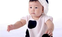 男狗宝宝取名大全2018年款(图文)