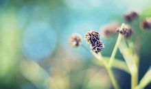 15天后洪福齐天，好运自然来，大财小财进腰包，横财百万3生肖